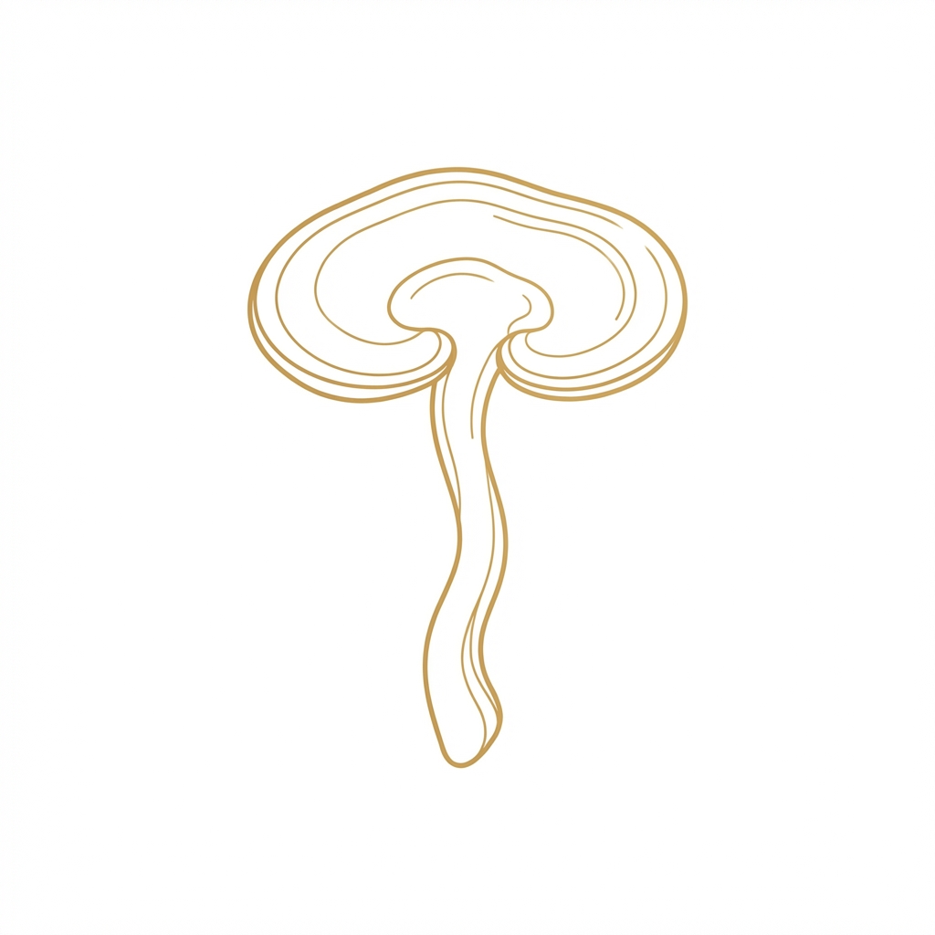 Reishi mushroom, gold line illustration