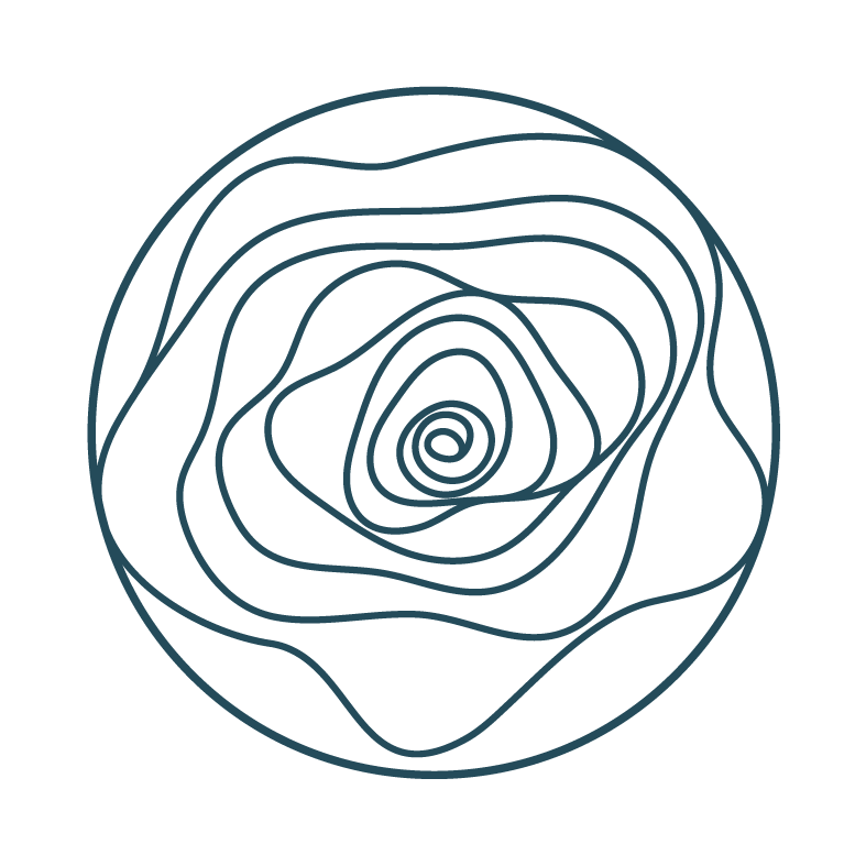 Spiral rose teal